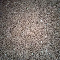 گندم مهرگان ابی ۲تن ۱۰۰کیلو|عمده‌فروشی|بندر ماهشهر, |دیوار