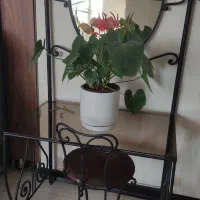 میز آرایش همراه با صندلی فرفورژه