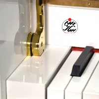 پیانو دیجیتال طرح رویال مدل p225 یاماها|پیانو، کیبورد، آکاردئون|قم, جهان بینی|دیوار