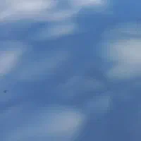 سمند ef7دوگانه کارخانه مدل۹۰خانگی مناسب مصرف کننده|خودرو سواری و وانت|اردبیل, |دیوار