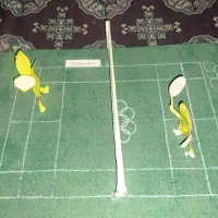 ماکت زمین بدمینتون