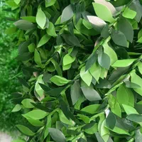 جشنواره فروش فنس برگی