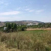 زمین-دهکده-توشن-نزدیک-بافت