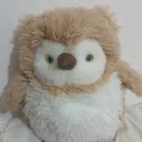 عروسک|اسباب‌‌بازی|رستم, |دیوار