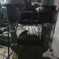دلرایستاده دوکله بلغار