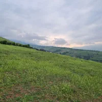 زمین-22000-متری-گیلان-خوشویوی-کلایه-جاده-اصلی