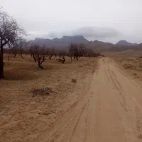 زمین|فروش زمین و ملک کلنگی|مهریز, |دیوار