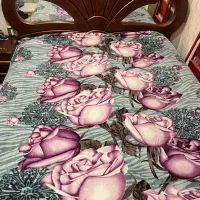 تخت بزرگ وقدیمی سالم|تخت و سرویس خواب|اصفهان, شاه پسند|دیوار