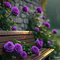 مشاور املاک خرید و فروش تهاتر ویلا آپارتمان|فروش آپارتمان|تبریز, |دیوار