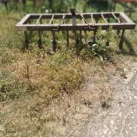 دمرخ پنجه