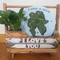 ست باکس گل طبیعی مناسب روز مادر|گل و گیاه طبیعی|ساری, |دیوار