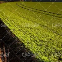 زمین-کشاورزی-9000متری