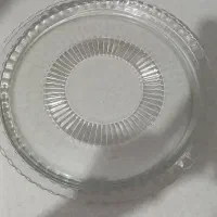 دیس پلو خوری فرانسه