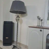 اباژور ایستاده  طوسی سالم