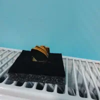 بدلیجات|بدلیجات|قزوین, |دیوار