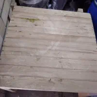 دو عدد کرصی