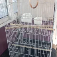 قفس|لوازم جانبی حیوانات|تهران, بهمن یار|دیوار