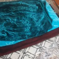 واحد مبله روزانه پیروزی آهنگ قیمت استثنایی|اجارهٔ کوتاهمدت آپارتمان و سوئیت|تهران, مینای شمالی (مخبر)|دیوار