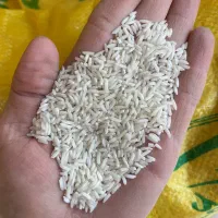 برنج مختار هاشمی