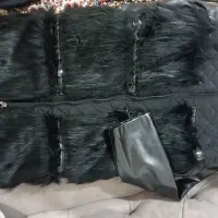 پافر پالتو