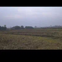 زمین-مزرعه