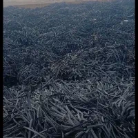 خریدار نوار تیپ هستم