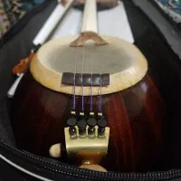 کمانچه|سازهای سنتی|رباط‌کریم, رباط‌کریم|دیوار