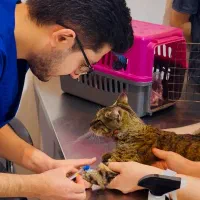 دامپزشکی آوانو ( ۱۰٪ تخفیف برای اولین مراجعه)