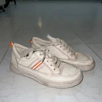 کفش|کیف، کفش، کمربند|اقبالیه, |دیوار