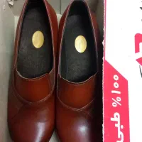 کفش تبی چرم  نونو|کیف، کفش، کمربند|قم, سرحوض|دیوار