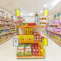 ویزیتور مویرگی شرق