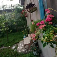 اجاره کوتاه مدت سوئیت
