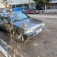 روا بیرنگ مدل ۱۳۸۸