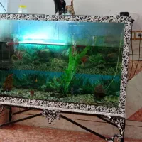 آکواربوم