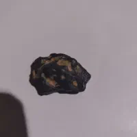 مشکوک به شهاب|جواهرات|تربتحیدریه, باغ سلطانی|دیوار