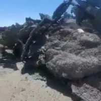 فروش خرسک آهن