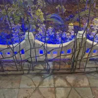 حفظ شاخ گوزنی با ارتفاع ۹۰ سانتی|مصالح و تجهیزات ساختمان|چمستان, |دیوار
