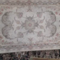 دوعددپادری نوجنس عالی ۵۰در۸۰