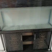 اکواریوم ماهی تزئینی