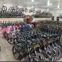 دوچرخه کوهستان مدل X300 سرعتی  / فقط 4900