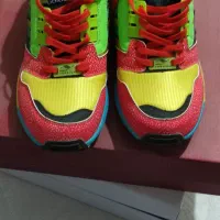 zxاتموس طوطی اکبند