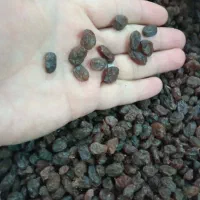 کشمش مخصوص تاکستان