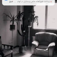سویت اجاره|اجارهٔ کوتاه‌مدت آپارتمان و سوئیت|چهارباغ, |دیوار