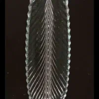 وسایل آشپزخانه|ظروف سرو و پذیرایی|بندر انزلی, کوی بهار|دیوار