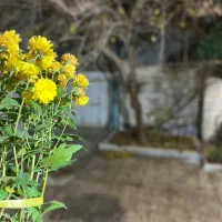 خوابگاه تمیز و تازه تاسیس بانوان، خواهران