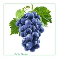 انگور|خوردنی و آشامیدنی|کرمانشاه, |دیوار