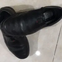 کفش مردانه درحدنو