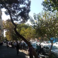 مغازه،بر اصلی،۴۱متر