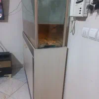 اکواریوم|لوازم جانبی حیوانات|تهران, مسعودیه|دیوار