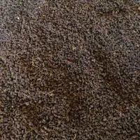 کشمش افتابی